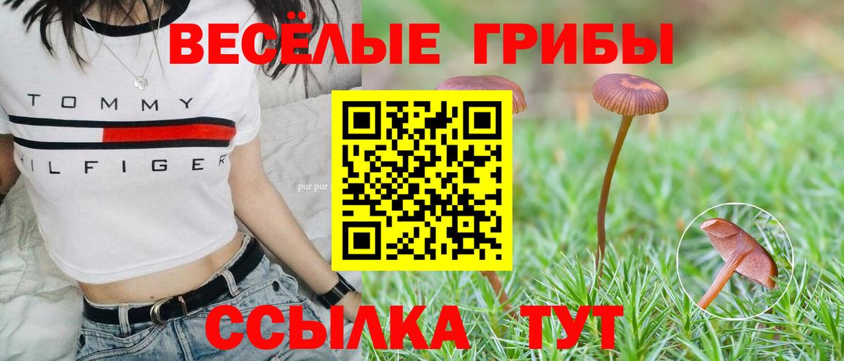 Галлюциногенные грибы Magic Shrooms Чебоксары