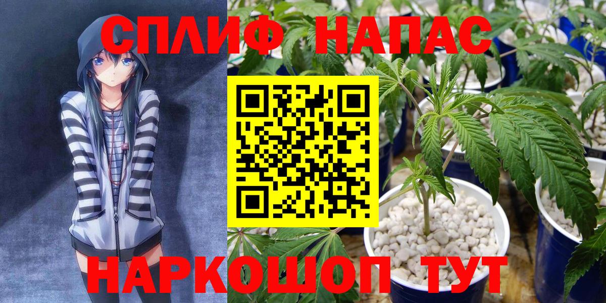 Чебоксары  Шишки марихуана семена  Вход с VPN  Конопля SATIVA & INDICA  Конопля сатива 